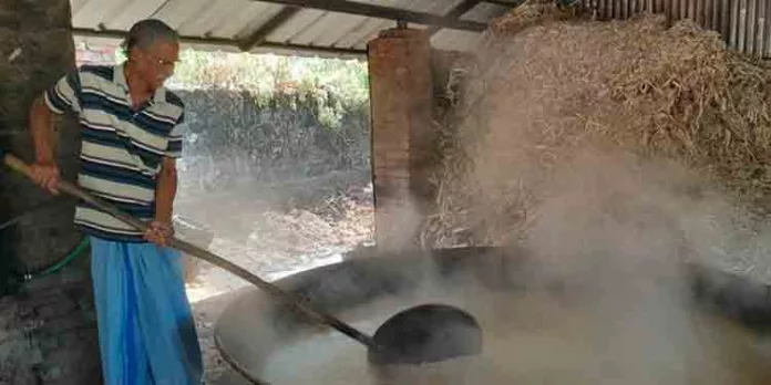 നരിയാപുരം ശർക്കരക്ക് വിപണിയിൽ പ്രിയമേറുന്നു നരിയാപുരം ശർക്കരക്ക് വിപണിയിൽ പ്രിയമേറുന്നു