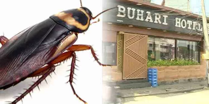 ഫ്രിഡ്ജിൽ പറ്റമായിരിക്കുന്ന പാറ്റകൾ ; 46 ഹോട്ടലുകളില് 11 ഹോട്ടലുകൾ പൂട്ടിച്ച് ഭക്ഷ്യസുരക്ഷാ വകുപ്പ് ഫ്രിഡ്ജിൽ പറ്റമായിരിക്കുന്ന പാറ്റകൾ ; 46 ഹോട്ടലുകളില് 11 ഹോട്ടലുകൾ പൂട്ടിച്ച് ഭക്ഷ്യസുരക്ഷാ വകുപ്പ്