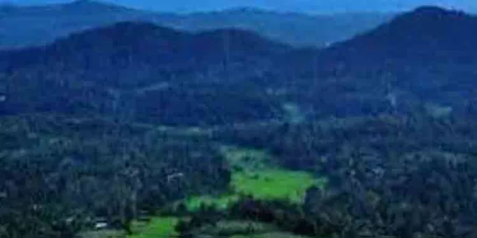 ബഫര്സോണ് മേഖലയിലെ പരാതികള് പരിഹരിക്കുന്നതില് സംസ്ഥാന സര്ക്കാറിന് കടുത്ത അലംഭാവം ബഫര്സോണ് മേഖലയിലെ പരാതികള് പരിഹരിക്കുന്നതില് സംസ്ഥാന സര്ക്കാറിന് കടുത്ത അലംഭാവം