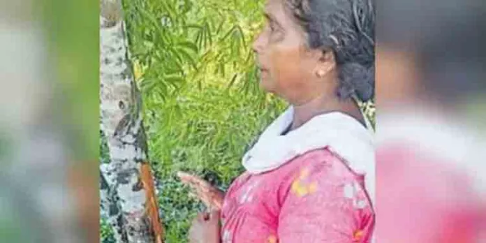 മരങ്ങളിൽ പെയിന്റ് അടിച്ച് അജ്ഞാത സ്ത്രീ ; മോഷണത്തിനെന്ന് സംശയം മരങ്ങളിൽ പെയിന്റ് അടിച്ച് അജ്ഞാത സ്ത്രീ ; മോഷണത്തിനെന്ന് സംശയം