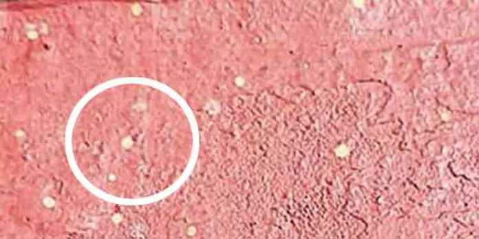 വെട്ടിക്കലിലും പരിസരത്തും മഞ്ഞ മഴ ; നാട്ടുകാർ ആശങ്കയിൽ വെട്ടിക്കലിലും പരിസരത്തും മഞ്ഞ മഴ ; നാട്ടുകാർ ആശങ്കയിൽ