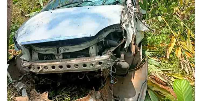 തണ്ണിത്തോട് മേലെപറക്കുളത്ത് കാർ താഴ്ചയിലേക്ക് മറിഞ്ഞു തണ്ണിത്തോട് മേലെപറക്കുളത്ത് കാർ താഴ്ചയിലേക്ക് മറിഞ്ഞു