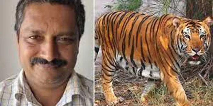 വയനാട്ടിൽ കടുവയുടെ ആക്രമണത്തിൽ കൊല്ലപ്പെട്ട കർഷകന്റെ മൃതദേഹം സംസ്കരിക്കാൻ കൂട്ടാക്കാതെ ബന്ധുക്കൾ വയനാട്ടിൽ കടുവയുടെ ആക്രമണത്തിൽ കൊല്ലപ്പെട്ട കർഷകന്റെ മൃതദേഹം സംസ്കരിക്കാൻ കൂട്ടാക്കാതെ ബന്ധുക്കൾ