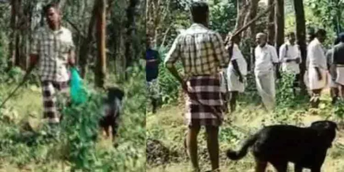 വടിവാളുമായി ഭീഷണി മുഴക്കിയ ആള് പോലീസ് പിടിയില് വടിവാളുമായി ഭീഷണി മുഴക്കിയ ആള് പോലീസ് പിടിയില്