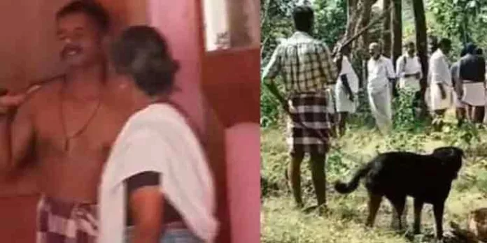 വടിവാളും വളർത്തു നായയുമായി ഭീകരാന്തരീക്ഷം സൃഷ്ടിച്ച സജീവിനെ റിമാൻഡ് ചെയ്തു വടിവാളും വളർത്തു നായയുമായി ഭീകരാന്തരീക്ഷം സൃഷ്ടിച്ച സജീവിനെ റിമാൻഡ് ചെയ്തു