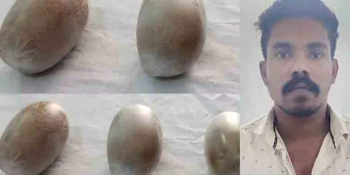 ട്രെയിനിൽ സ്വർണ്ണം കടത്താന് ശ്രമം : യുവാവ് പിടിയിൽ ട്രെയിനിൽ സ്വർണ്ണം കടത്താന് ശ്രമം : യുവാവ് പിടിയിൽ