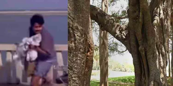 തോർത്തുടുപ്പിച്ച് അതിഥിത്തൊഴിലാളികളെ ആലിന് മുകളിൽ കയറ്റി; പണവും ഫോണുമടക്കം അടിച്ചുമാറ്റി തോർത്തുടുപ്പിച്ച് അതിഥിത്തൊഴിലാളികളെ ആലിന് മുകളിൽ കയറ്റി; പണവും ഫോണുമടക്കം അടിച്ചുമാറ്റി