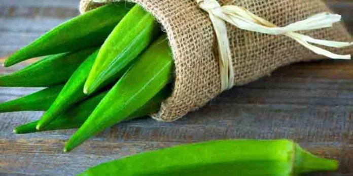വെണ്ടയ്ക്കാവെള്ളം കുടിക്കുന്നതിന്റെ ഗുണങ്ങള് എന്തൊക്കെയാണെന്ന് അറിയാം.. വെണ്ടയ്ക്കാവെള്ളം കുടിക്കുന്നതിന്റെ ഗുണങ്ങള് എന്തൊക്കെയാണെന്ന് അറിയാം..