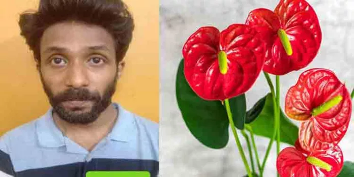 സ്ത്രീവേഷം ധരിച്ച് ആന്തൂറിയം ചെടികൾ മോഷ്ടിച്ച യുവാവ് അറസ്റ്റില് സ്ത്രീവേഷം ധരിച്ച് ആന്തൂറിയം ചെടികൾ മോഷ്ടിച്ച യുവാവ് അറസ്റ്റില്