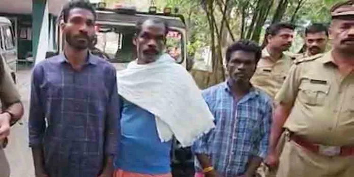 മ്ലാവിനെ പിടിച്ച് കറിവെച്ചും വില്പന നടത്തുകയും ചെയ്ത മൂന്ന് പേർ അറസ്റ്റിൽ മ്ലാവിനെ പിടിച്ച് കറിവെച്ചും വില്പന നടത്തുകയും ചെയ്ത മൂന്ന് പേർ അറസ്റ്റിൽ