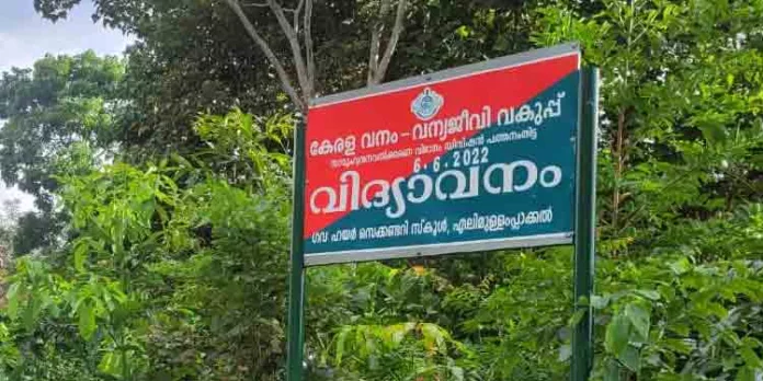 എലിമുള്ളുംപ്ലാക്കൽ ഗവണ്മെന്റ് ഹയർ സെക്കണ്ടറി സ്കൂളിൽ വിദ്യാവനമൊരുക്കി സാമൂഹ്യവനവത്കരണ വിഭാഗം എലിമുള്ളുംപ്ലാക്കൽ ഗവണ്മെന്റ് ഹയർ സെക്കണ്ടറി സ്കൂളിൽ വിദ്യാവനമൊരുക്കി സാമൂഹ്യവനവത്കരണ വിഭാഗം