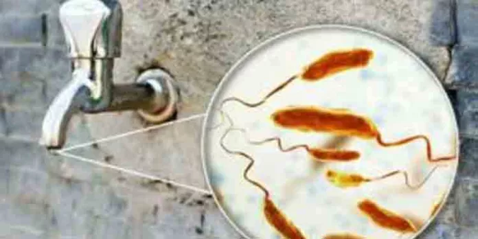 കാലാവസ്ഥ വ്യതിയാനം കോളറ കേസുകള് വര്ധിപ്പിക്കാം ; മുന്നറിയിപ്പുമായി ലോകാരോഗ്യ സംഘടന കാലാവസ്ഥ വ്യതിയാനം കോളറ കേസുകള് വര്ധിപ്പിക്കാം ; മുന്നറിയിപ്പുമായി ലോകാരോഗ്യ സംഘടന