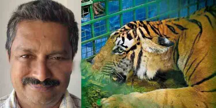 എന്റെ ചാച്ചനോ പോയി , ഇനിയെങ്കിലും ആര്ക്കും ഇതുപോലൊന്നും വരുത്തരുത്, കടുവയുടെ കടിയേറ്റ് മരിച്ച തോമസിന്റെ മകള് എന്റെ ചാച്ചനോ പോയി , ഇനിയെങ്കിലും ആര്ക്കും ഇതുപോലൊന്നും വരുത്തരുത്, കടുവയുടെ കടിയേറ്റ് മരിച്ച തോമസിന്റെ മകള്