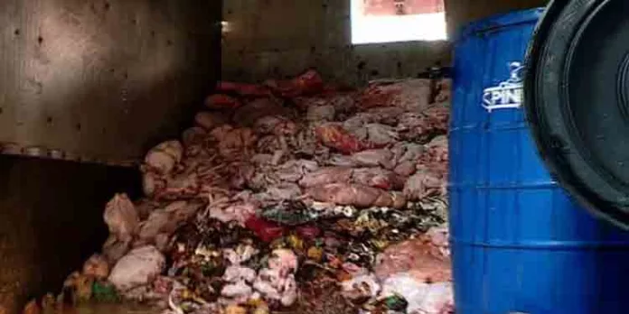 കളമശേരിയിൽ സൂനാമി ഇറച്ചി വാങ്ങിയെന്ന് സംശയിക്കുന്ന സ്ഥാപനങ്ങളുടെ പട്ടിക പുറത്ത് വിട്ടതിൽ നിയമനടപടിക്കൊരുങ്ങി ഹോട്ടലുകള് കളമശേരിയിൽ സൂനാമി ഇറച്ചി വാങ്ങിയെന്ന് സംശയിക്കുന്ന സ്ഥാപനങ്ങളുടെ പട്ടിക പുറത്ത് വിട്ടതിൽ നിയമനടപടിക്കൊരുങ്ങി ഹോട്ടലുകള്