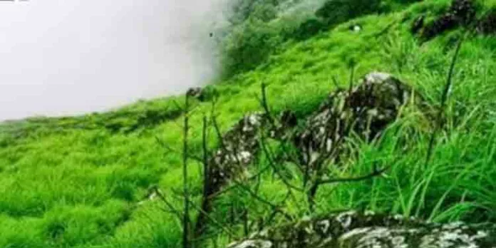 പൊൻമുടിയുടെ പേരുമാറ്റി ശങ്കിലി എന്നാക്കി വന്യജീവി സങ്കേതം രൂപീകരിക്കും പൊൻമുടിയുടെ പേരുമാറ്റി ശങ്കിലി എന്നാക്കി വന്യജീവി സങ്കേതം രൂപീകരിക്കും
