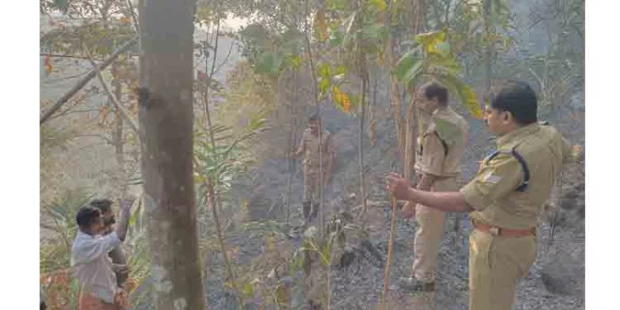 കുടമുരട്ടി കൊച്ചുകുളം സെമിത്തേരിക്ക് സമീപം റബ്ബർ തോട്ടത്തിൽ തീ പിടിച്ചു കുടമുരട്ടി കൊച്ചുകുളം സെമിത്തേരിക്ക് സമീപം റബ്ബർ തോട്ടത്തിൽ തീ പിടിച്ചു