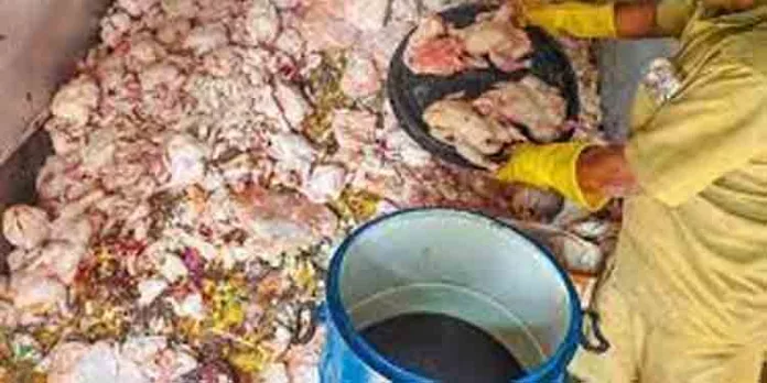 കളമശേരിയില് പിടിച്ച പഴകിയ കോഴിയിറച്ചിയില് അപകടകാരിയായ ഇ കോളി ബാക്ടീരിയയുടെ സാന്നിധ്യം കളമശേരിയില് പിടിച്ച പഴകിയ കോഴിയിറച്ചിയില് അപകടകാരിയായ ഇ കോളി ബാക്ടീരിയയുടെ സാന്നിധ്യം
