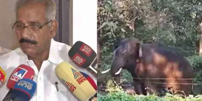 ആനയെ എത്രയുംവേഗം പിടിക്കാമെന്ന് ശുഭപ്രതീക്ഷ ; വനംമന്ത്രി എ.കെ.ശശീന്ദ്രന് ആനയെ എത്രയുംവേഗം പിടിക്കാമെന്ന് ശുഭപ്രതീക്ഷ ; വനംമന്ത്രി എ.കെ.ശശീന്ദ്രന്