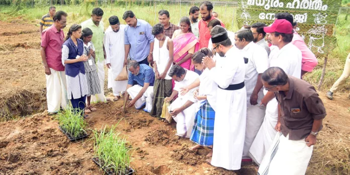 ഇനി നേതാജിയും മധുരിക്കും ; കരിമ്പു കൃഷിയിറക്കാൻ വിദ്യാർത്ഥികളും ഇനി നേതാജിയും മധുരിക്കും ; കരിമ്പു കൃഷിയിറക്കാൻ വിദ്യാർത്ഥികളും