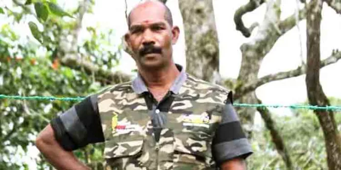 ഇടുക്കിയില് കാട്ടാന ആക്രമണം ഇടുക്കിയില് കാട്ടാന ആക്രമണം