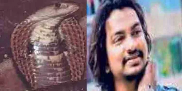 പാമ്പിനൊപ്പം സെല്ഫിയെടുത്ത യുവാവിന് ദാരുണാന്ത്യം പാമ്പിനൊപ്പം സെല്ഫിയെടുത്ത യുവാവിന് ദാരുണാന്ത്യം