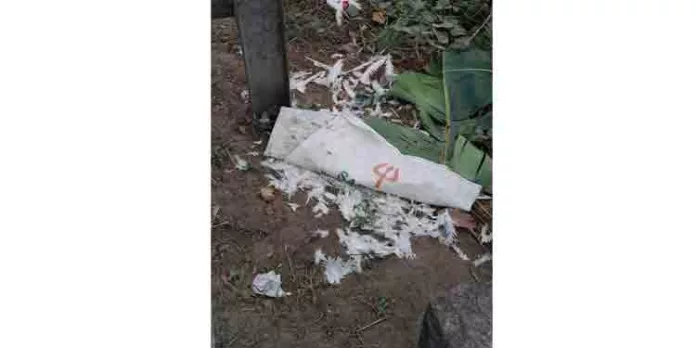 കോന്നി മുരിങ്ങമംഗലം പാലത്തിൽ കോഴിമാലിന്യങ്ങൾ ഉപേക്ഷിച്ച നിലയിൽ കോന്നി മുരിങ്ങമംഗലം പാലത്തിൽ കോഴിമാലിന്യങ്ങൾ ഉപേക്ഷിച്ച നിലയിൽ
