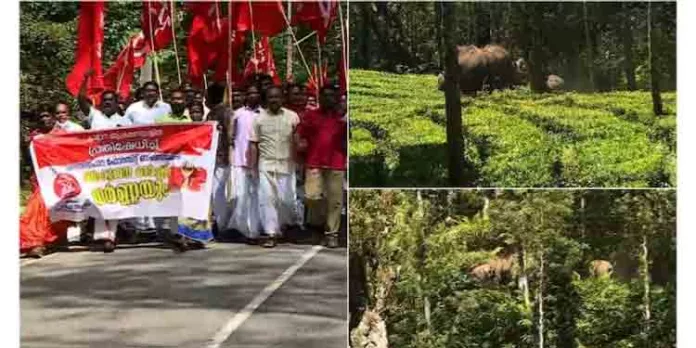 വനം വകുപ്പിനെതിരെ രൂക്ഷ വിമർശനവുമായി സിപിഎം ഇടുക്കി ജില്ല സെക്രട്ടറി വനം വകുപ്പിനെതിരെ രൂക്ഷ വിമർശനവുമായി സിപിഎം ഇടുക്കി ജില്ല സെക്രട്ടറി