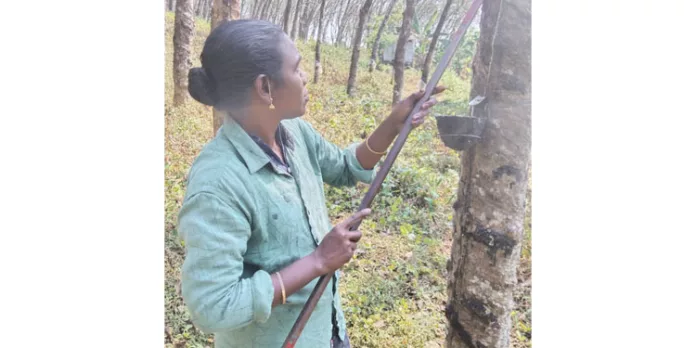 തോട്ടം തൊഴിലാളികളുടെ കൂലി വർദ്ധനവ് ; കാലാവധി കഴിഞ്ഞിട്ട് ഒരു വർഷം പിന്നിടുമ്പോഴും തീരുമാനമാകുന്നില്ല തോട്ടം തൊഴിലാളികളുടെ കൂലി വർദ്ധനവ് ; കാലാവധി കഴിഞ്ഞിട്ട് ഒരു വർഷം പിന്നിടുമ്പോഴും തീരുമാനമാകുന്നില്ല