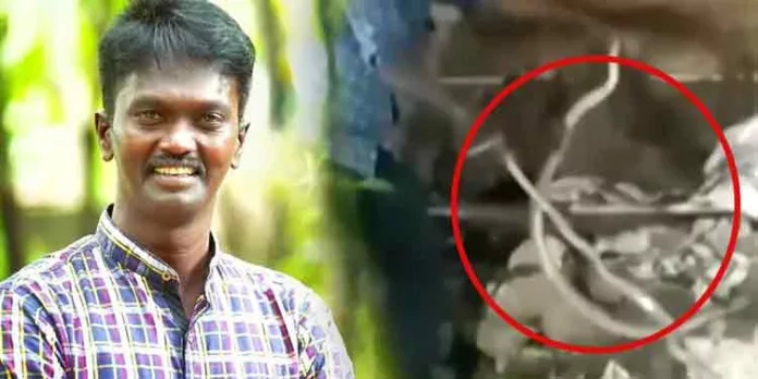രണ്ട് മൂർഖനെ ഒന്നിച്ച് പിടിച്ച് വാവ സുരേഷ് രണ്ട് മൂർഖനെ ഒന്നിച്ച് പിടിച്ച് വാവ സുരേഷ്