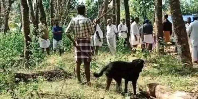 കൊല്ലത്ത് യുവാവിന്റെ അക്രമം ; പോലീസ് എത്തിയപ്പോള് വീട് പൂട്ടിയ ശേഷം നായ്ക്കളെ തുറന്നുവിട്ടു, വീടിനുള്ളിൽ കയറാനാകാതെ പോലീസ് കൊല്ലത്ത് യുവാവിന്റെ അക്രമം ; പോലീസ് എത്തിയപ്പോള് വീട് പൂട്ടിയ ശേഷം നായ്ക്കളെ തുറന്നുവിട്ടു, വീടിനുള്ളിൽ കയറാനാകാതെ പോലീസ്