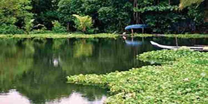 പ്രകൃതി ദുരന്തങ്ങൾ തടയാൻ നീർച്ചാലുകൾ പുനരുജ്ജീവിപ്പിക്കാനുള്ള പദ്ധതിയുമായി ഹരിത കേരളം മിഷന് പ്രകൃതി ദുരന്തങ്ങൾ തടയാൻ നീർച്ചാലുകൾ പുനരുജ്ജീവിപ്പിക്കാനുള്ള പദ്ധതിയുമായി ഹരിത കേരളം മിഷന്