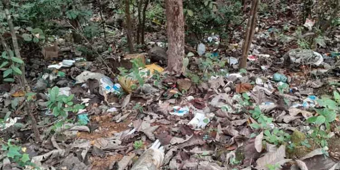 കോന്നി തണ്ണിത്തോട് റോഡിൽ വന ഭാഗത്ത് മാലിന്യം ഉപേക്ഷിക്കുന്നത് പതിവാകുന്നു കോന്നി തണ്ണിത്തോട് റോഡിൽ വന ഭാഗത്ത് മാലിന്യം ഉപേക്ഷിക്കുന്നത് പതിവാകുന്നു