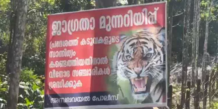കടുവ ഭീതിയില് വയനാട് ; ജനങ്ങൾ പ്രത്യക്ഷ സമരത്തിന് ഒരുങ്ങുന്നു കടുവ ഭീതിയില് വയനാട് ; ജനങ്ങൾ പ്രത്യക്ഷ സമരത്തിന് ഒരുങ്ങുന്നു