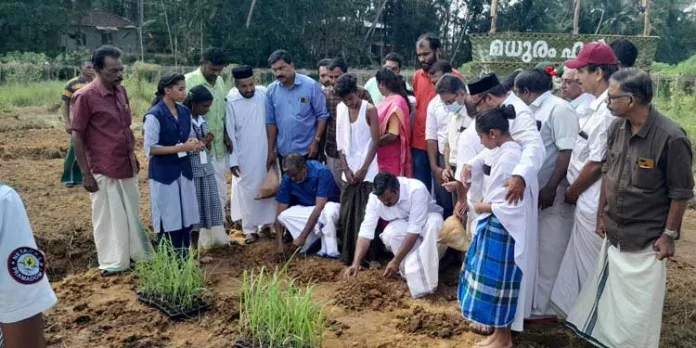 വാങ്ങി കഴിക്കുന്ന ഭക്ഷണങ്ങൾ നമ്മെ രോഗത്തിന്റെ തടവറയിലേക്ക് നയിക്കുന്നു ; മന്ത്രി പി പ്രസാദ് വാങ്ങി കഴിക്കുന്ന ഭക്ഷണങ്ങൾ നമ്മെ രോഗത്തിന്റെ തടവറയിലേക്ക് നയിക്കുന്നു ; മന്ത്രി പി പ്രസാദ്
