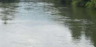കാവേരി ജല തർക്കം ; ബെംഗളൂരുവിന്റെ കുടിവെള്ളം പ്രതിസന്ധിയിൽ ; തമിഴ്നാടിന് വെള്ളം നൽകുന്നതിനെതിരെ ശക്തമായ പ്രതിഷേധവുമായി കർണാടക.
