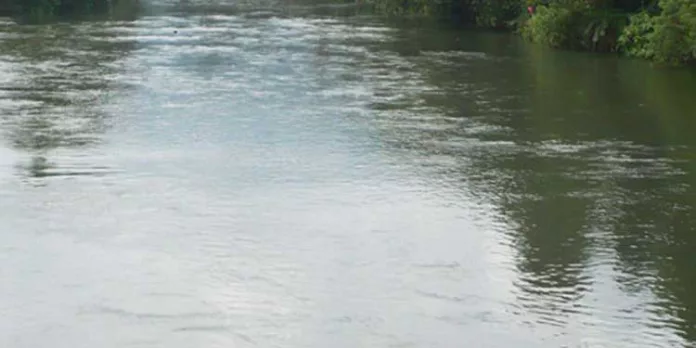 കാവാലം ചിറ മത്സ്യകൃഷി ഒഴിവാക്കി ജനങ്ങള്ക്ക് തുറന്നു കൊടുക്കാനുള്ള നടപടി ഇതുവരെയും പ്രാഭല്യത്തിലായില്ല കാവാലം ചിറ മത്സ്യകൃഷി ഒഴിവാക്കി ജനങ്ങള്ക്ക് തുറന്നു കൊടുക്കാനുള്ള നടപടി ഇതുവരെയും പ്രാഭല്യത്തിലായില്ല