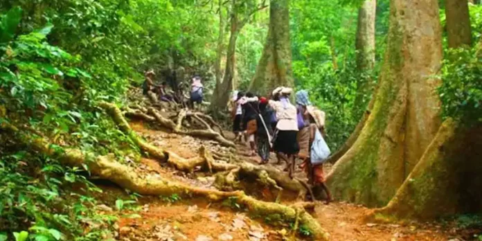 കാനന വാസനെ കാണാന് കരിമല താണ്ടിയത് 1,26,146 ഭക്തര് കാനന വാസനെ കാണാന് കരിമല താണ്ടിയത് 1,26,146 ഭക്തര്