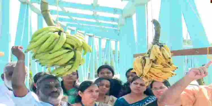 തൃശൂർ ശക്തൻ നഗറിലെ ആകാശ പാതയിൽ കോൺഗ്രസ് വാഴക്കുലകൾ നാട്ടി തൃശൂർ ശക്തൻ നഗറിലെ ആകാശ പാതയിൽ കോൺഗ്രസ് വാഴക്കുലകൾ നാട്ടി