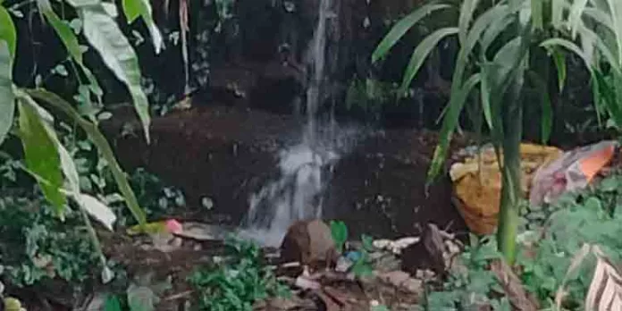 കാരക്കാട് തോട്ടിലേക്ക് ഒഴുകി പാഴാകുന്നത് ലക്ഷക്കണക്കിന് ലിറ്റര് വെള്ളം കാരക്കാട് തോട്ടിലേക്ക് ഒഴുകി പാഴാകുന്നത് ലക്ഷക്കണക്കിന് ലിറ്റര് വെള്ളം