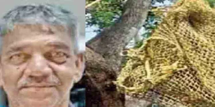 മാങ്ങ പറിക്കാനായി മാവില് കയറിയ ആള് നെഞ്ചുവേദന വന്ന് മരിച്ചു മാങ്ങ പറിക്കാനായി മാവില് കയറിയ ആള് നെഞ്ചുവേദന വന്ന് മരിച്ചു