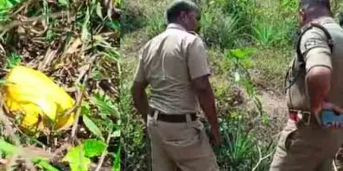 തൊഴിലുറപ്പ് ജോലികൾക്കിടെ മഞ്ഞ നിറത്തില് ഒരു വസ്തു കണ്ടെത്തി ; പരിശോധിച്ചപ്പോള് നാടന് ബോംബ് തൊഴിലുറപ്പ് ജോലികൾക്കിടെ മഞ്ഞ നിറത്തില് ഒരു വസ്തു കണ്ടെത്തി ; പരിശോധിച്ചപ്പോള് നാടന് ബോംബ്