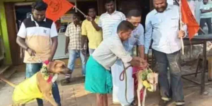 പ്രണയ ദിനത്തിൽ നായ്ക്കൾക്ക് വിവാഹം ; വാലന്റൈൻസ് ഡേക്കെതിരെ പ്രതിഷേധവുമായി തമിഴ്നാട് ഹിന്ദു മുന്നണി പ്രണയ ദിനത്തിൽ നായ്ക്കൾക്ക് വിവാഹം ; വാലന്റൈൻസ് ഡേക്കെതിരെ പ്രതിഷേധവുമായി തമിഴ്നാട് ഹിന്ദു മുന്നണി