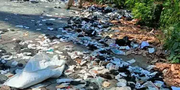 മാലിന്യത്തിനൊപ്പം വിലാസവും ; ബാര്ബര് ഷോപ്പ് ഉടമയെ കൊണ്ടുവന്ന് വനത്തില് തള്ളിയ മുടിയും മാലിന്യവും എടുപ്പിച്ച് വനപാലകര് മാലിന്യത്തിനൊപ്പം വിലാസവും ; ബാര്ബര് ഷോപ്പ് ഉടമയെ കൊണ്ടുവന്ന് വനത്തില് തള്ളിയ മുടിയും മാലിന്യവും എടുപ്പിച്ച് വനപാലകര്