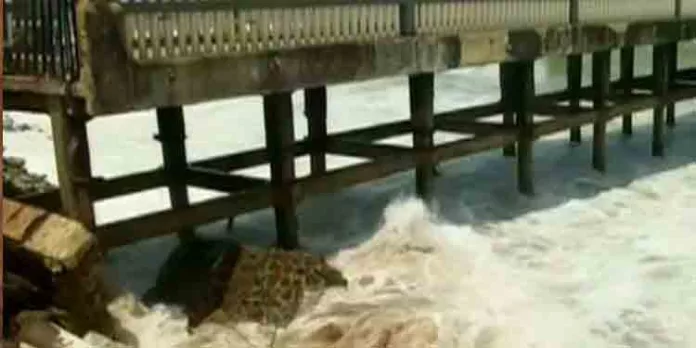 ഉയര്ന്ന തിരമാലകള്ക്ക് സാധ്യത ; ബീച്ചുകളിലേക്കുള്ള യാത്രയ്ക്ക് നിരോധനം ഉയര്ന്ന തിരമാലകള്ക്ക് സാധ്യത ; ബീച്ചുകളിലേക്കുള്ള യാത്രയ്ക്ക് നിരോധനം