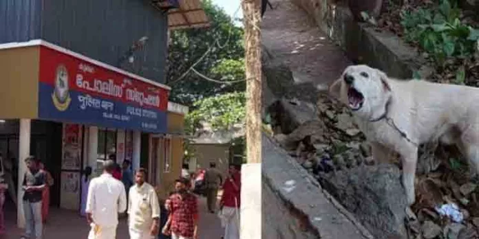 അയല്ക്കാരന്റെ നായ കടിച്ചത് മൂന്നു തവണ ; പരാതി സ്റ്റേഷനില് – നായയും ഉടമയും ഹാജരാകണമെന്ന് പോലീസ് അയല്ക്കാരന്റെ നായ കടിച്ചത് മൂന്നു തവണ ; പരാതി സ്റ്റേഷനില് – നായയും ഉടമയും ഹാജരാകണമെന്ന് പോലീസ്