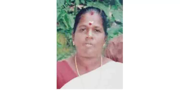 ഗുണ്ടാ, ലഹരി മാഫിയ കൊടികുത്തി വാഴുന്ന മാരൂര് ഗുണ്ടാ, ലഹരി മാഫിയ കൊടികുത്തി വാഴുന്ന മാരൂര്