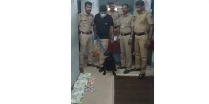 കോന്നി പോലീസ് പുകയില ഉത്പന്നങ്ങൾ പിടികൂടി കോന്നി പോലീസ് പുകയില ഉത്പന്നങ്ങൾ പിടികൂടി