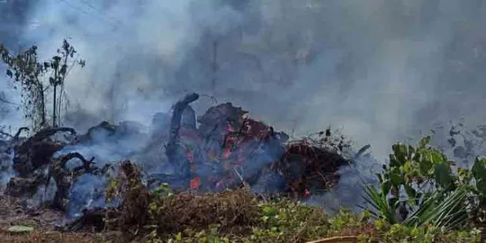 പാല ബ്ലോക്ക് ഓഫീസിന് സമീപo തോട്ടത്തിന് തീ പിടിച്ചു പാല ബ്ലോക്ക് ഓഫീസിന് സമീപo തോട്ടത്തിന് തീ പിടിച്ചു