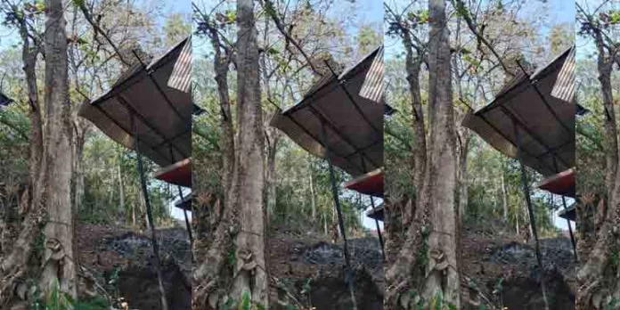 വില്ലേജ് ഓഫീസ് കെട്ടിടത്തിന് ഭീഷണിയായി തേക്കുമരം ; മുറിച്ചുനീക്കുവാൻ അനുമതി നല്കാതെ വനംവകുപ്പ് ഒളിച്ചു കളിക്കുന്നു വില്ലേജ് ഓഫീസ് കെട്ടിടത്തിന് ഭീഷണിയായി തേക്കുമരം ; മുറിച്ചുനീക്കുവാൻ അനുമതി നല്കാതെ വനംവകുപ്പ് ഒളിച്ചു കളിക്കുന്നു