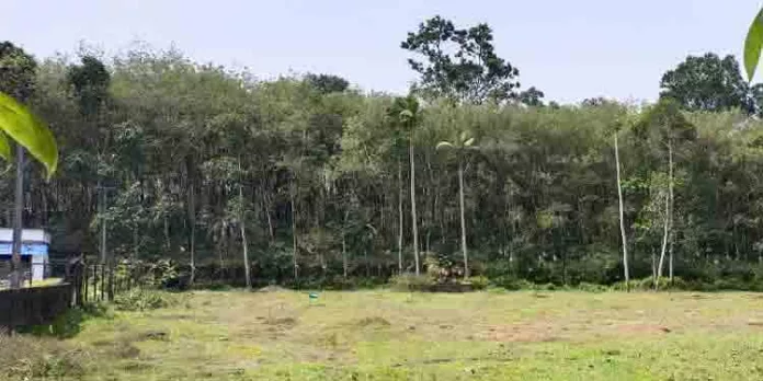ഐ.ടി സംരംഭങ്ങള്ക്കായുളള മിനി ഇന്ഡസ്ട്രിയല് എസ്റ്റേറ്റ് ആരംഭിക്കുന്നതിന് നടപടി സ്വീകരിക്കുമെന്ന് ജില്ലാ പഞ്ചായത്ത് അംഗം രാജേഷ് വാളിപ്ലാക്കല് ഐ.ടി സംരംഭങ്ങള്ക്കായുളള മിനി ഇന്ഡസ്ട്രിയല് എസ്റ്റേറ്റ് ആരംഭിക്കുന്നതിന് നടപടി സ്വീകരിക്കുമെന്ന് ജില്ലാ പഞ്ചായത്ത് അംഗം രാജേഷ് വാളിപ്ലാക്കല്